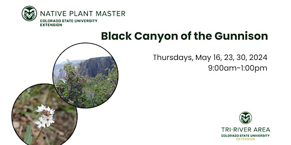Colorado Native Plant Master: Black Canyon of the Gunnison