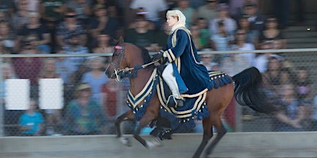 Image principale de CANCELED DUE TO RAIN - February Sunday Horse Show