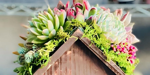 Succulent Birdhouse Arrangement primary image