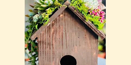 Primaire afbeelding van Wine & Design Living Succulent Birdhouse