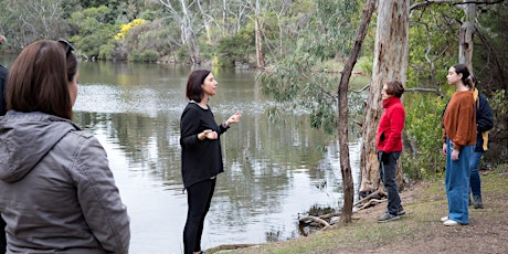 Nature and Forest Bathing: A deep rest in Nature