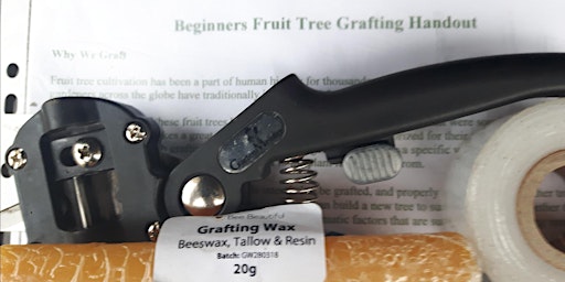 Fruit Tree Grafting for Beginners - Morning Session primary image