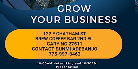 Professional Small Business Networking