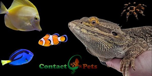 Image principale de Reptile experience