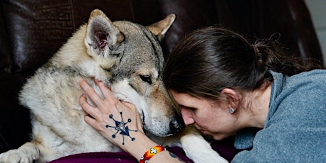 Sacred Narrative with your Canine Friend