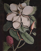 Primaire afbeelding van Visit to the University Herbarium at Winterbourne House and Garden