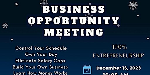 Primaire afbeelding van Business Opportunity Meeting