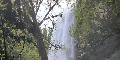 Hauptbild für Golden and Silver Falls Hike