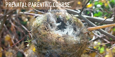 Emotional Nesting  Insightful & Creative Parenting primary image
