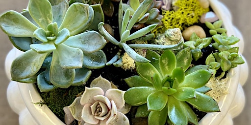 Succulent Terrarium Workshop  primärbild