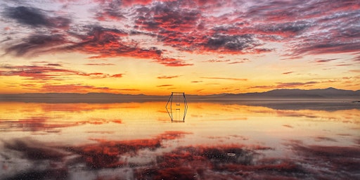 Salton Sea Photo Safari primary image