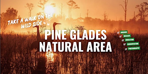 Pine Glades Natural Area primary image