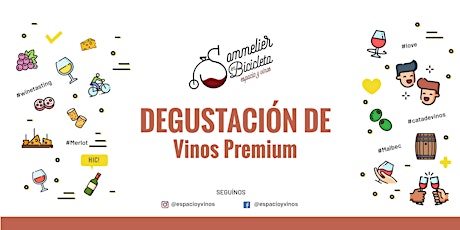 Imagen principal de Degustación de Vinos Premium
