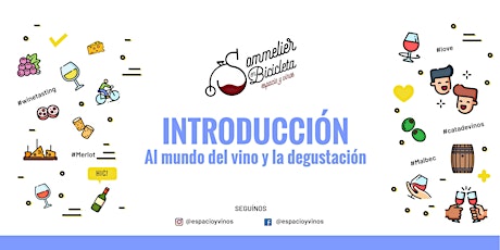 Imagen principal de Introducción al mundo del vino y la degustación