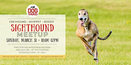 Sighthound Meetup at the Dog Yard Bar in Ballard - Sunday, March 31