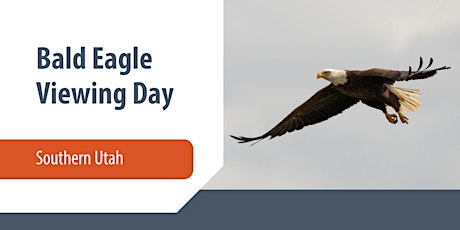 Bald Eagle Viewing Day - Southern Utah primary image