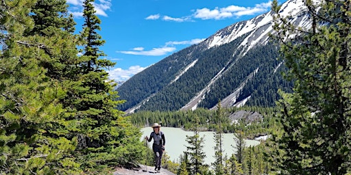 Primaire afbeelding van Road-Trip: WA's and Pacific Rim (CAN) National Parks, with moderate hikes