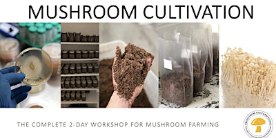 Mushroom Cultivation:  The Complete 2-day Workshop for Mushroom Farming primary image