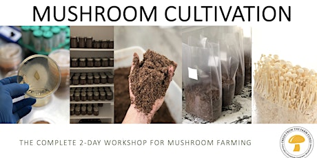 Mushroom Cultivation:  The Complete 2-day Workshop for Mushroom Farming