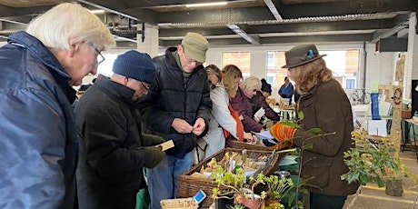 Imagem principal de Sow and Grow Seed Swap - A Transition Town Worthing Event (TTW)