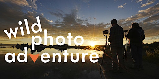 Imagem principal do evento Bodie Historical State Park &  Mono Lake South Tufa Preserve Photo Workshop