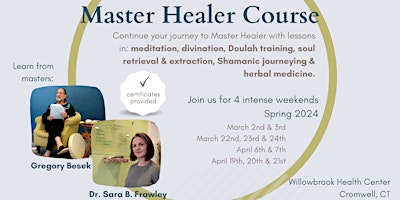 Image principale de Master Healer Training 1