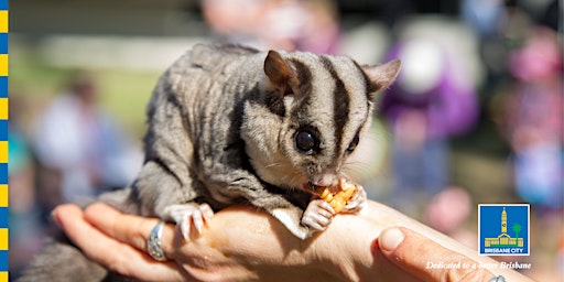 Imagem principal do evento Meet Wildlife Neighbours