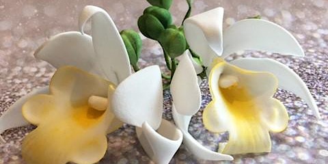 Sugarcraft - Orchids-Mansfield Central Library-Adult Learning primary image