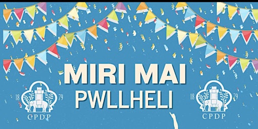 Miri Mai primary image