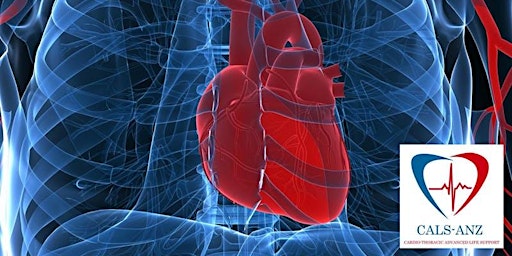 CALS-ANZ (CARDIAC SURGERY ADVANCED LIFE SUPPORT)  primärbild