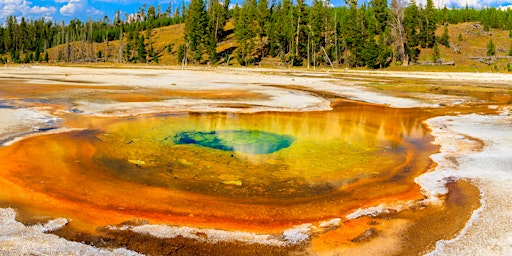 Image principale de Yellowstone National Park: Self-Driving Audio Guided Tour