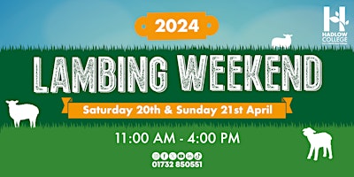 Imagen principal de Lambing Weekend - Sunday 21st April 2024