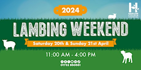 Lambing Weekend - Saturday 20th April 2024