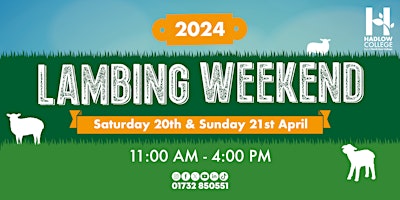 Imagem principal do evento Lambing Weekend - Saturday 20th April 2024