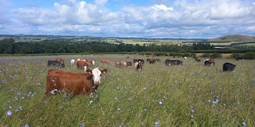 Scottish Borders Two farm Visits - Stuart Mitchell and Innovis primary image