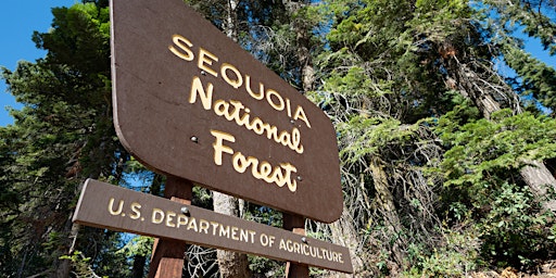 Imagem principal do evento Sequoia: Kings Canyon Self-Driving Audio Guide