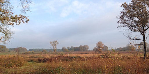 Imagem principal do evento An Introduction to Buxton Heath - free guided walk