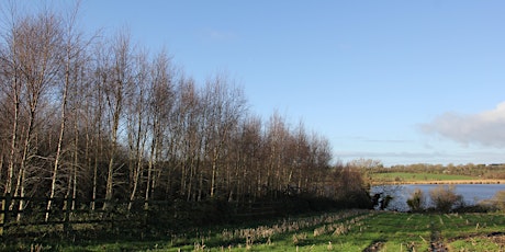 Imagem principal de Gracedieu Wood Tree Guard Removal and Trail Maintenance (Co. Waterford)