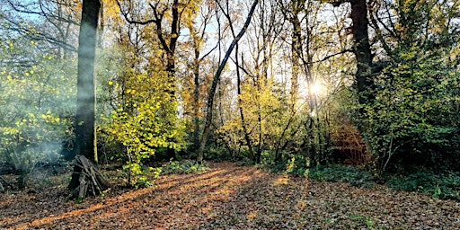 Hauptbild für Singing Roots: monthly singing circle