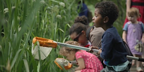 Centre for Wildlife Gardening Family Day, Pond Life with Jane