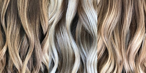 Primaire afbeelding van Balayage and Hair Painting