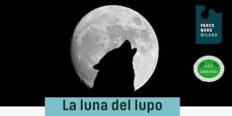Immagine principale di La luna del lupo 
