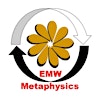 Logotipo da organização EMW Metaphysics Pte Ltd
