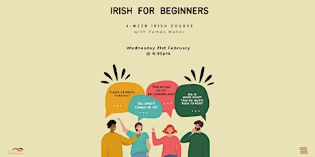 Irish  for Beginners primary image