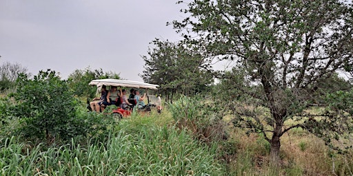 Primaire afbeelding van Lift to the Land Bridge