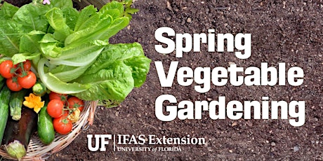 Image principale de Spring Vegetable Gardening Workshop