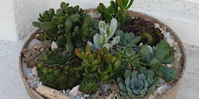 Open succulent terrarium primary image