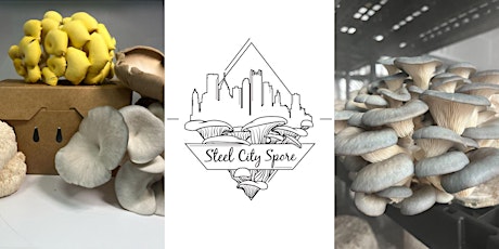 Meet Steel City Spore & Create your Own Grow Kit primary image