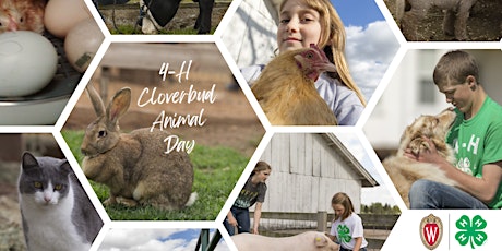 Cloverbud Animal Day  primärbild