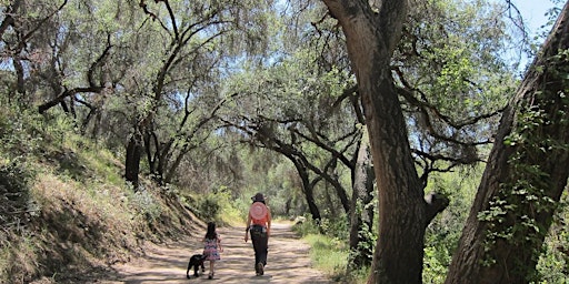 Tree Treks at Blue Sky Ecological Reserve primary image